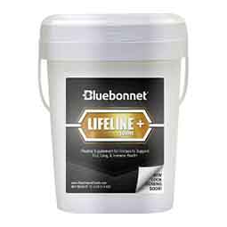 Lifeline + Equine Horse Supplement Bluebonnet